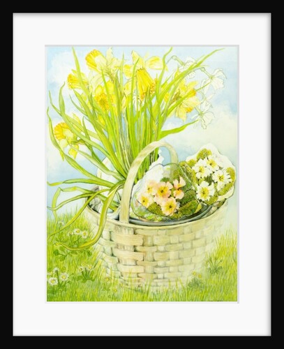 Daffodils and primroses in a basket by Joan Thewsey