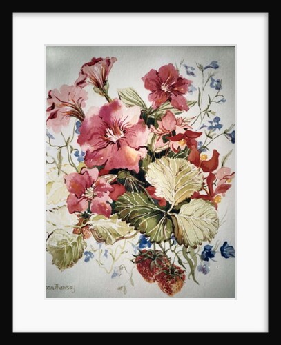 Petunias, Lobelias, Begonias and Strawberries in a Terrace Pot by Joan Thewsey