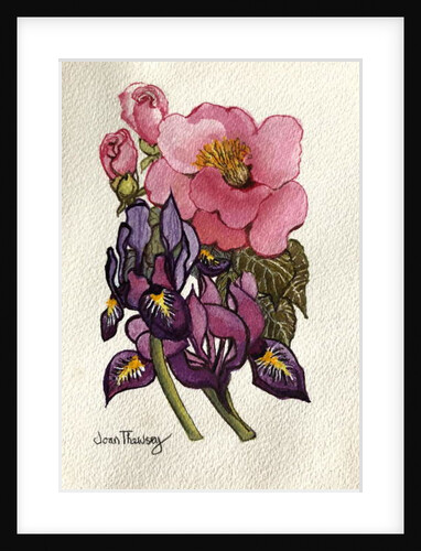 Camellia and Dutch Iris by Joan Thewsey