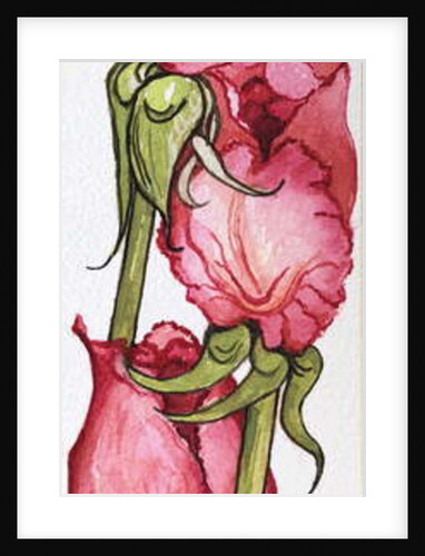 Three Red Roses by Joan Thewsey