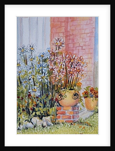 Marguerites in the Cottage Garden by Joan Thewsey