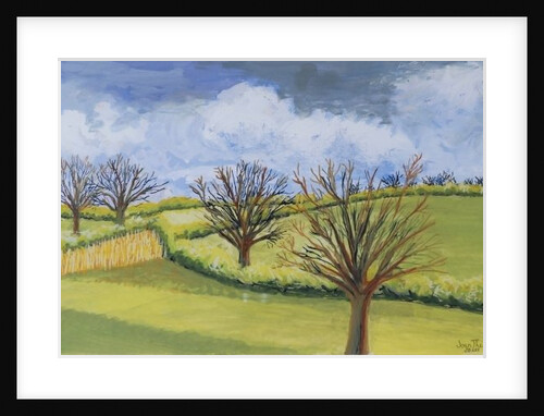Suffolk Spring Sky by Joan Thewsey