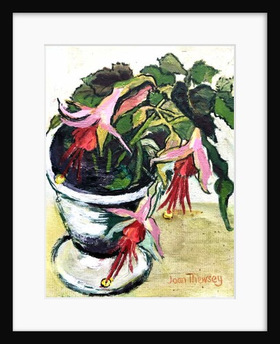 Fuchsias by Joan Thewsey
