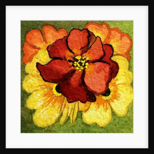 Five Primroses, red, yellow and orange by Joan Thewsey