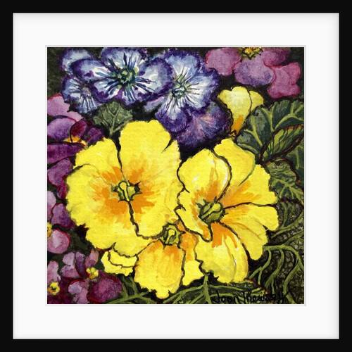 Three Yellow Primroses surrounded by mauve and purple primroses and leaves by Joan Thewsey
