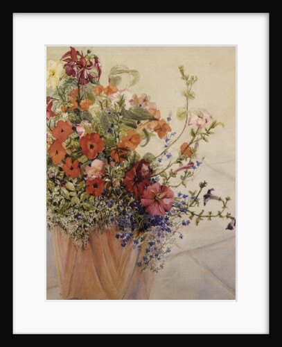 Petunias, Lobelias, Busy Lizzies and Fuschia in a Terracotta Pot by Joan Thewsey