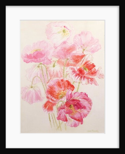 Shirley Poppies by Joan Thewsey