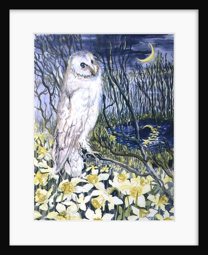 Owl by Joan Thewsey