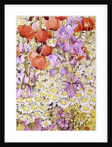 Wild Flower Conservation; Garden Border by Joan Thewsey