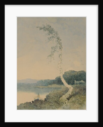 Silver Birch by a Lake, 1845 by William James Blacklock