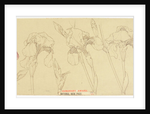 Botanical Studies, 1900-30 by James Atherton