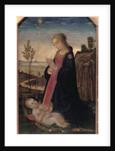 Madonna and Child in a Landscape by Jacopo del Sellaio