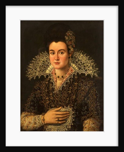 Portrait of a Lady by Alonso Sanchez Coello