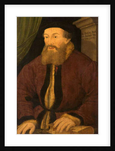 Portrait of a Man, 1551 by Flemish School