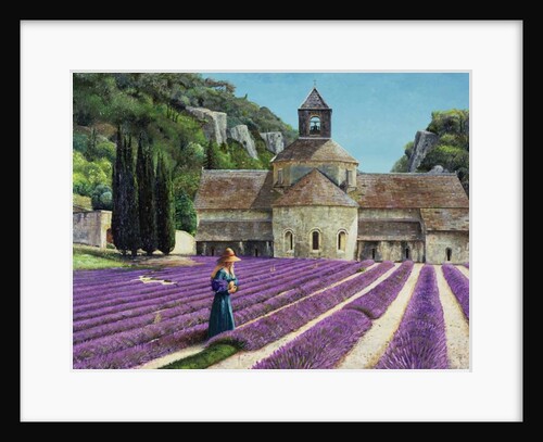 Lavender Picker, Abbaye Senanque, Provence by Trevor Neal
