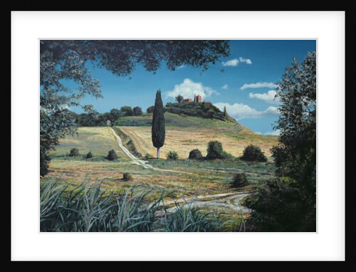 Lollipop Tree, Umbria, 1998 by Trevor Neal