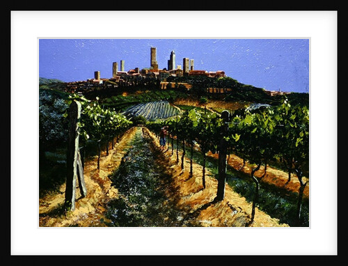 Grape Vines, San Gimignano, Tuscany, 1998 by Trevor Neal