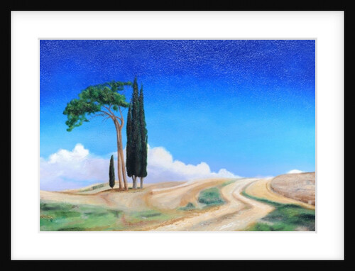 4 Trees, Picenza, Tuscany, 2002 by Trevor Neal