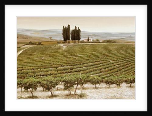 Tree Circle, Tuscany by Trevor Neal