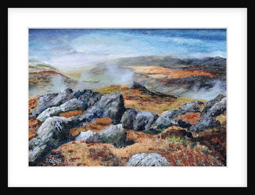 Langdales top, Cumbria, 2008 by Trevor Neal