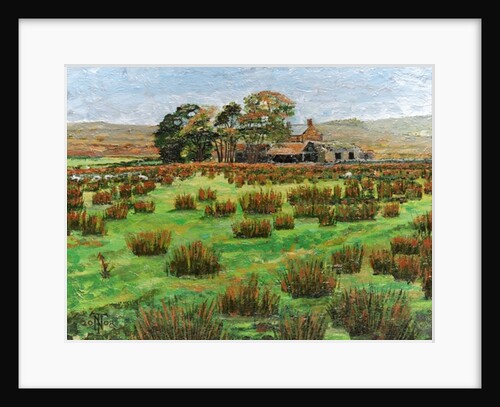 Farm Cumbria, 2008 by Trevor Neal