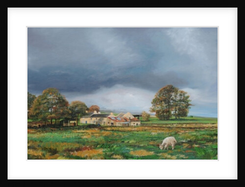 Old Farm, Monyash, Derbyshire, 2009 by Trevor Neal