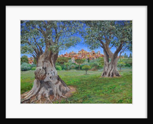 View of Cagnes Sur Mer from Renoir's garden, 2017 by Trevor Neal