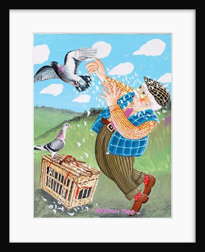 Flaming June has only won one race, and that was because the other pigeon developed a nasty cough in mid air and was forced to retire by Tony Todd