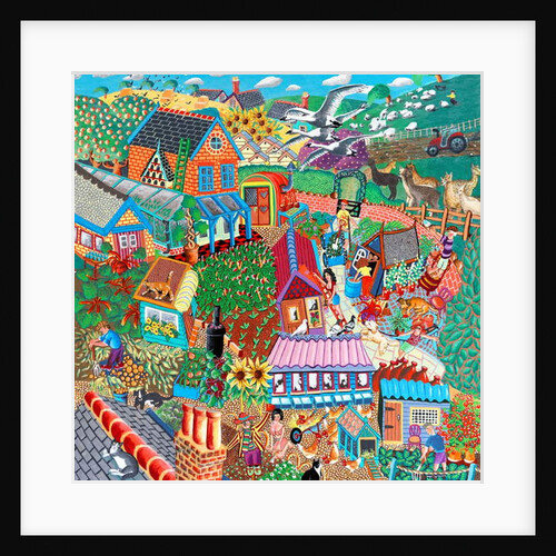 Birds over the Allotments by Tony Todd