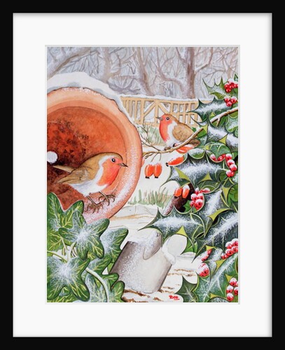 Christmas Robins by Tony Todd