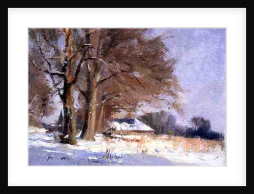 Limes in the Snow by Trevor Chamberlain