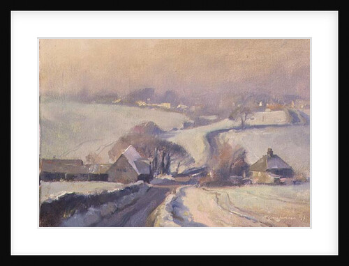 Frosty fields, Aston, 1991 by Trevor Chamberlain