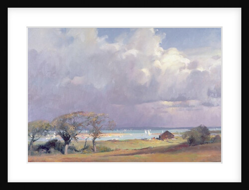 Threatening storm in the Solent, 1989 by Trevor Chamberlain