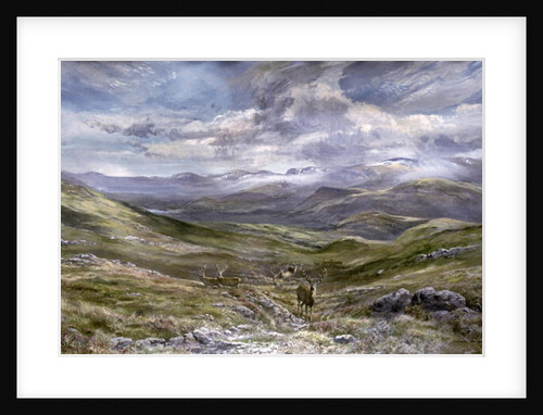 Kinrara, Aviemore, Scotland, 1988 by Tim Scott Bolton