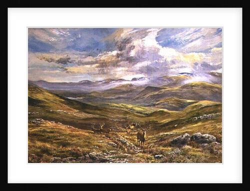 Cairngorms from Kinrara, 1988 by Tim Scott Bolton