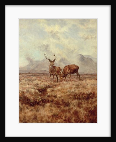 Red Stags, Ben Buie, 1982 by Tim Scott Bolton
