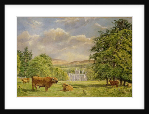 Bulls at Balmoral, 1988 by Tim Scott Bolton