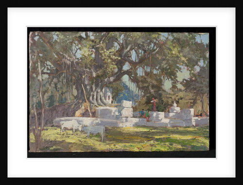 Kawardha Well and Banyan Tree by Tim Scott Bolton