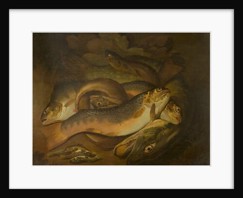 Fishes by Moses Haughton