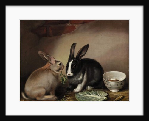 Rabbits by Joseph Thomas (19th century) Wilson
