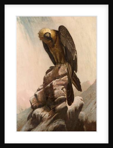 Eagle on Cliff by School English