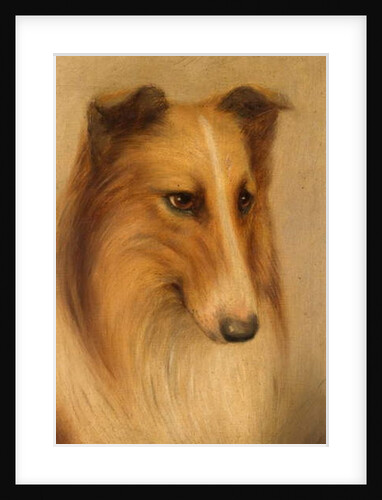 Collie by George Washington Brownlow