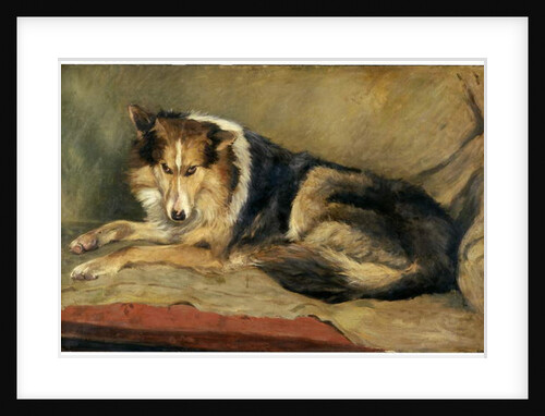 Collie Dog by William Henry Charlton