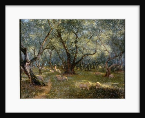 Olives of St Rocco by Thomas Bowman Garvie