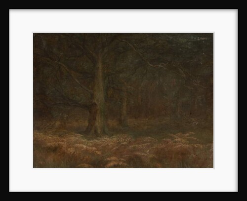 Study of Trees by School English