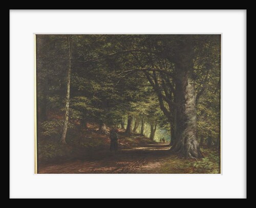 Beech Avenue, Inverary, 1876 by Edward Railton Catterns