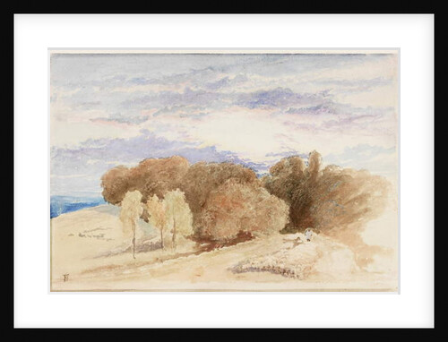 Arundel Park by Myles Birket Foster