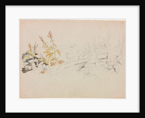 Nature Study by John Wilson Carmichael