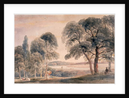 Weybridge Meadows by Peter de Wint