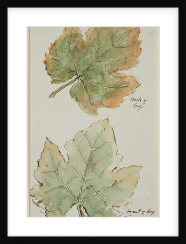 The Grape Leaf by John Wilson Carmichael